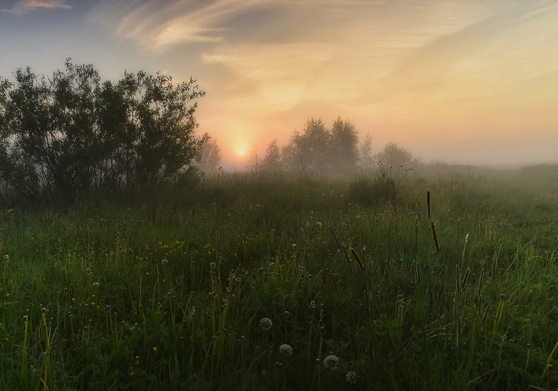 the usual fleeting - Геннадий Ковалев ,