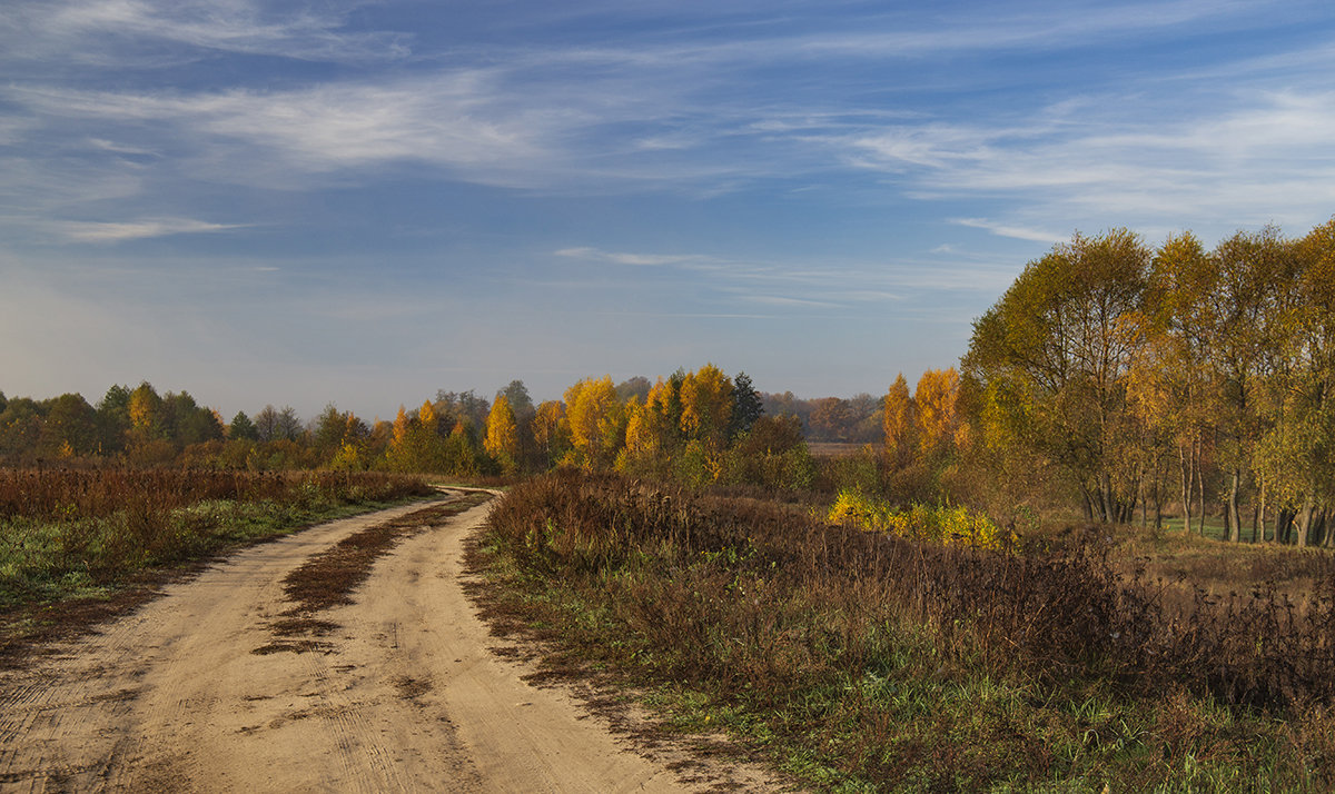 Дорога в осень - Светлана Карнаух