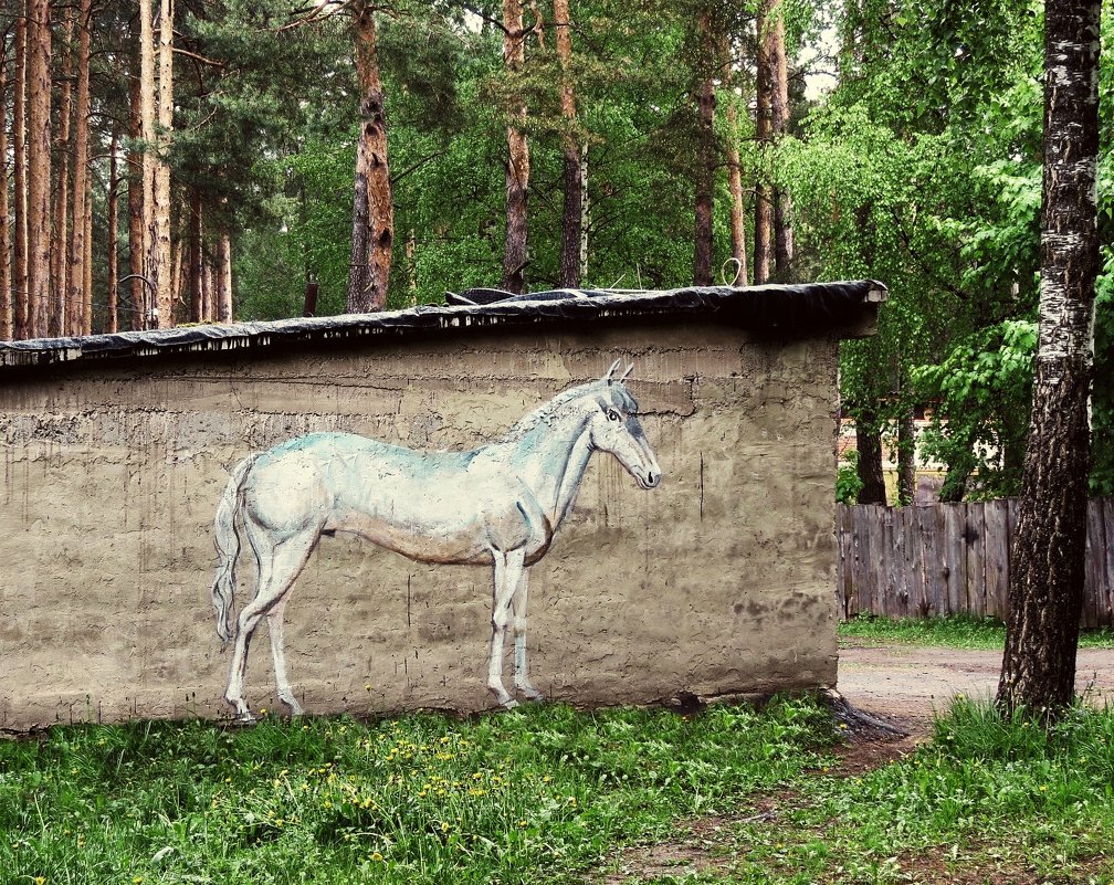 Сельские граффити - Евгений Кочуров