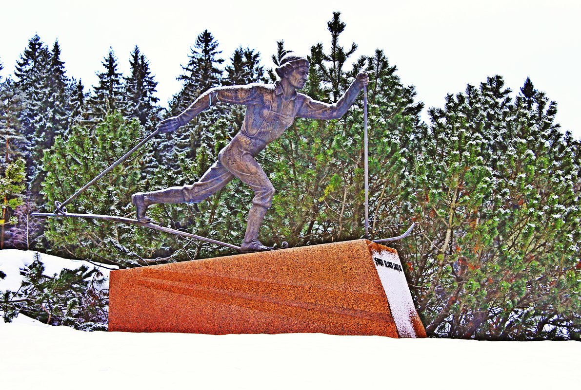 Финская лыжница - Vladimir Semenchukov
