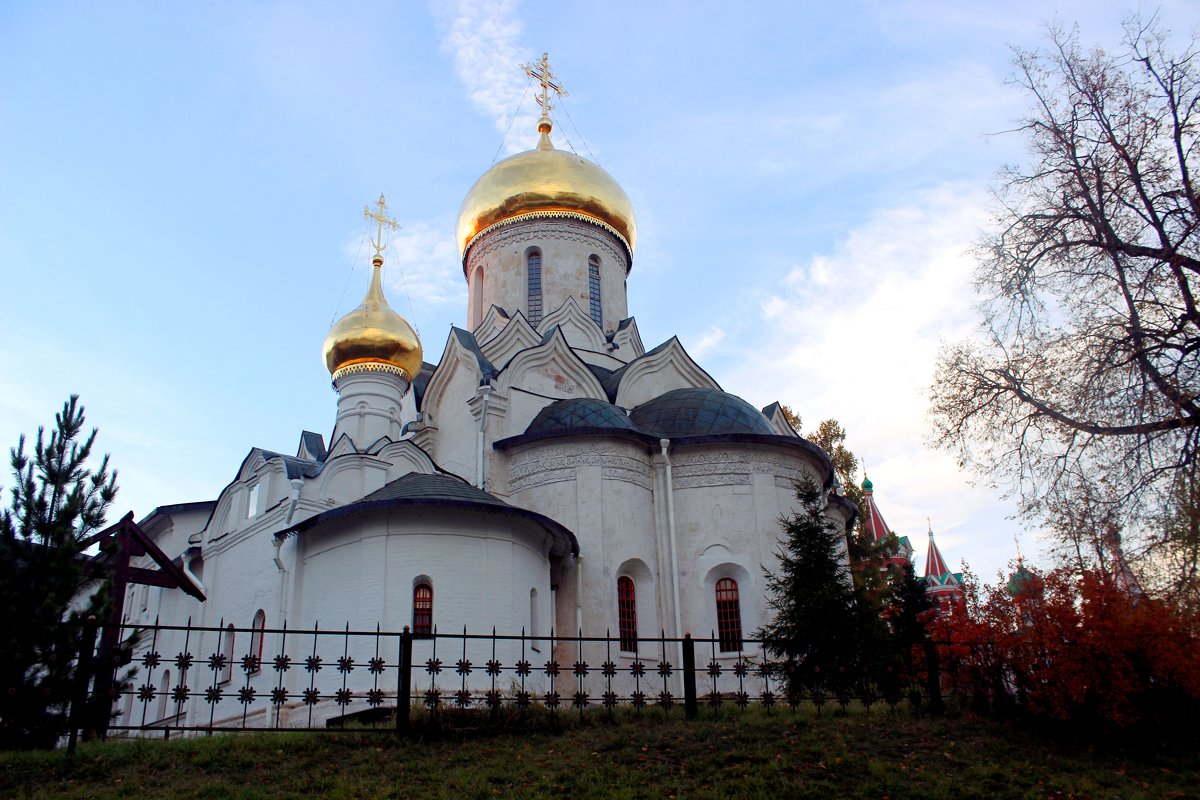 собор Рождества Богородицы - Дмитрий Солоненко