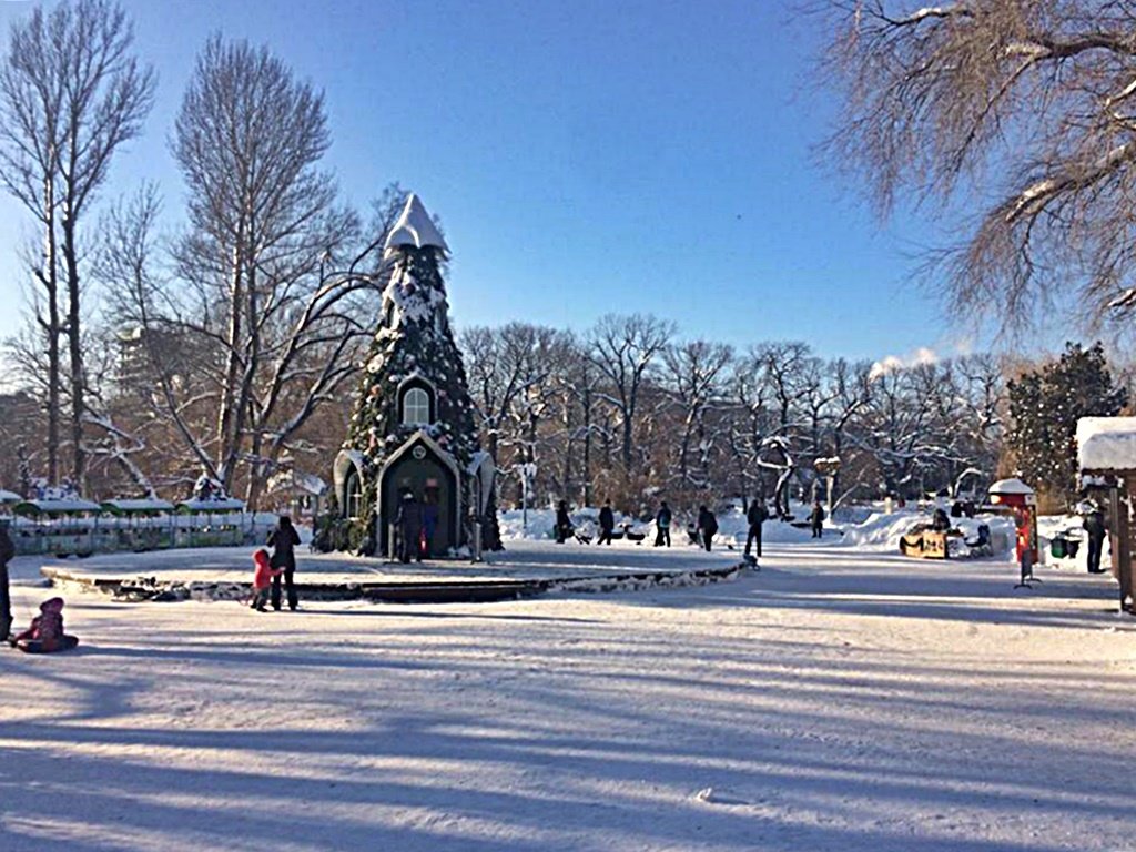 Занесло  меня  в  занесённый  снегом Саратов - Виталий Селиванов 