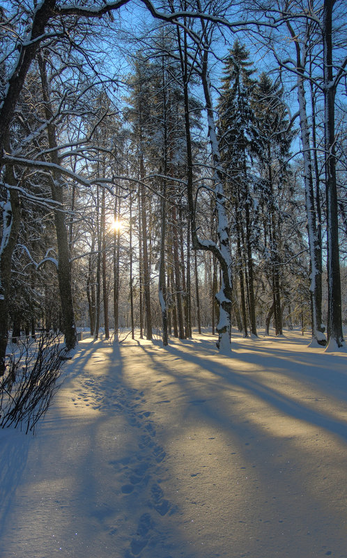 В парке - Сергей Григорьев