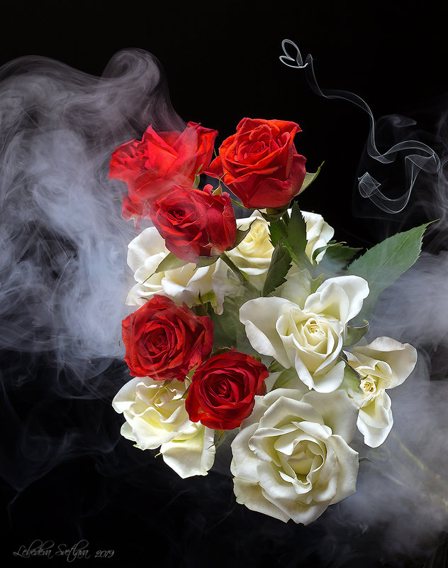 Розы в дыму - Светлана Л.