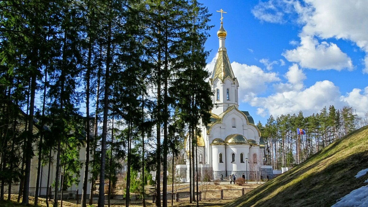Православные храмы Смоленщины - Милешкин Владимир Алексеевич 