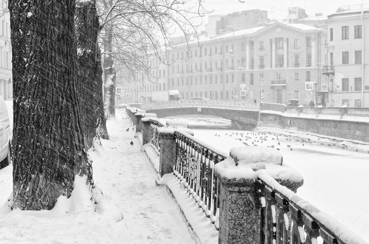 Снегопад в Питере. Канал Грибоедова. - Григорий Евдокимов