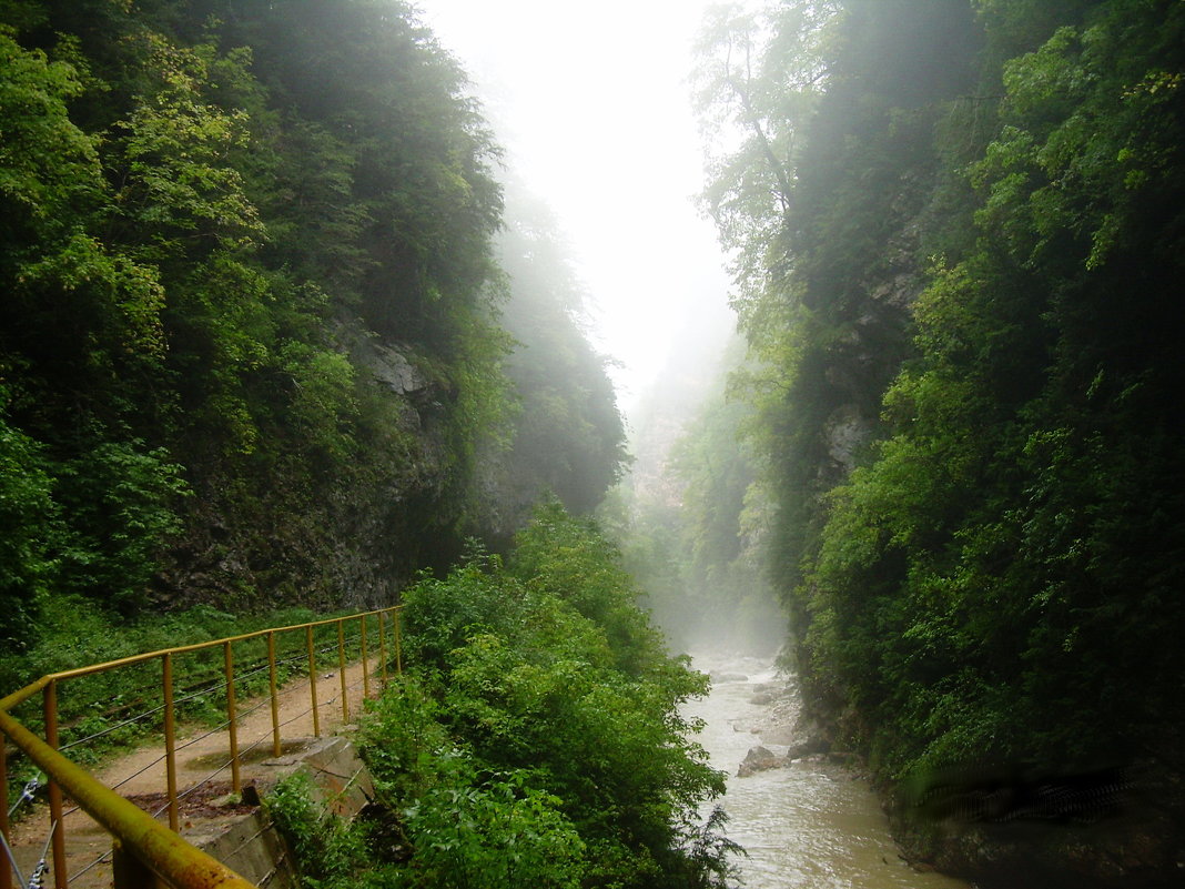 Адыгея. Гуамское ущелье в тумане - татьяна 