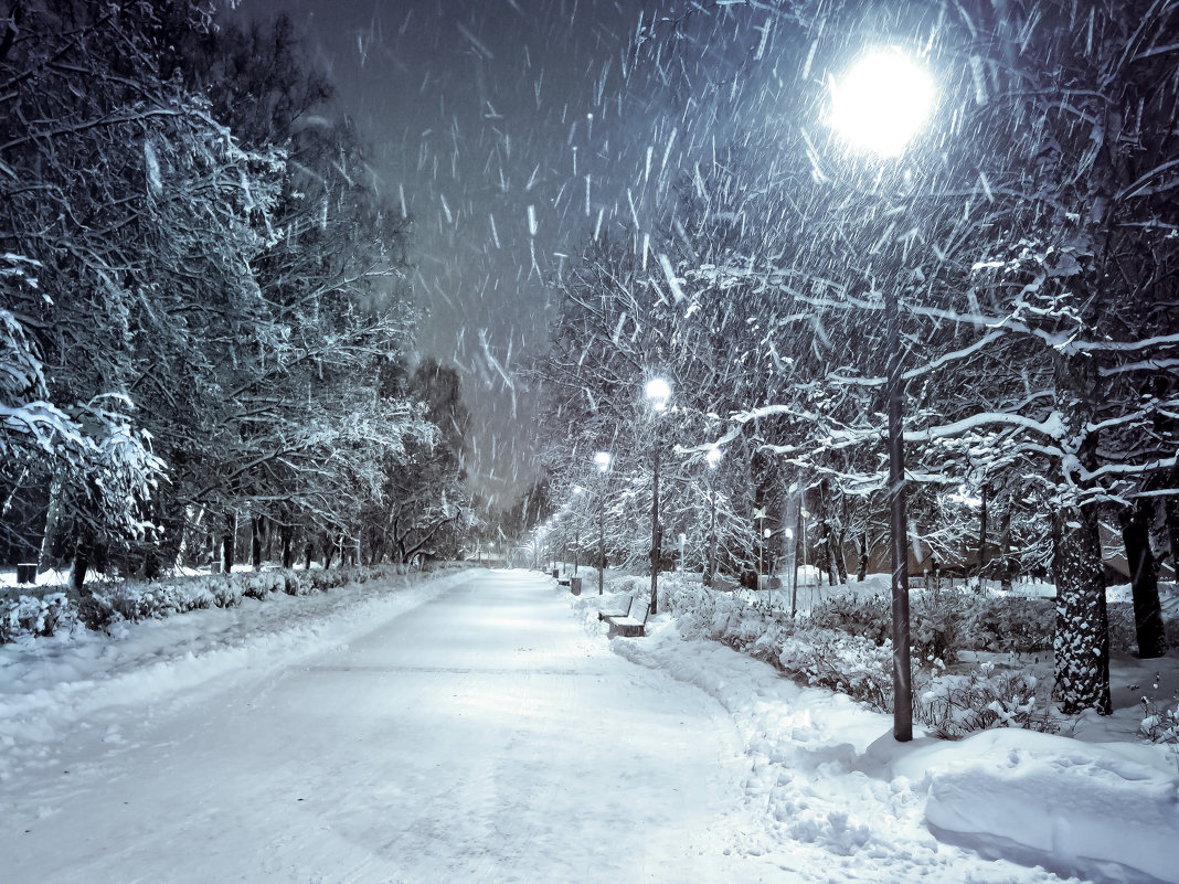 Снегопад в зимнем парке - Денис Масленников
