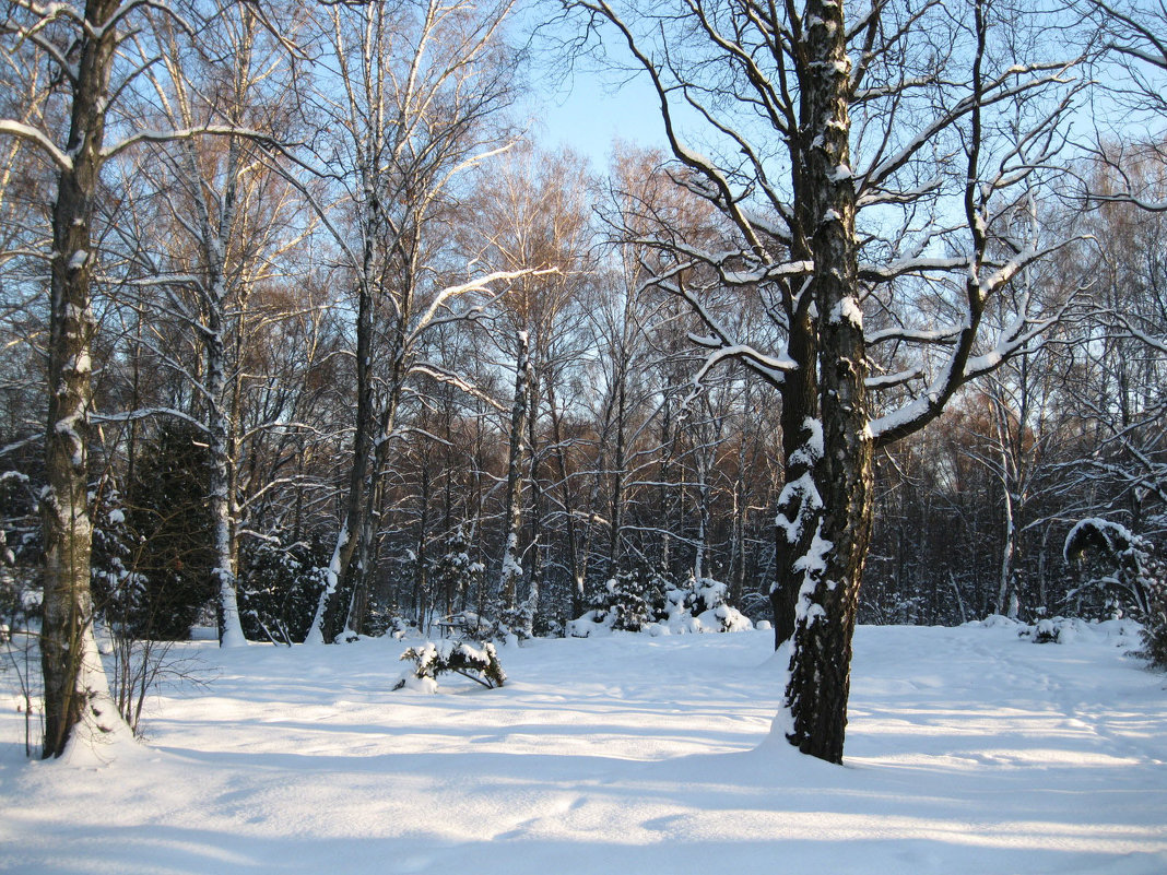 Зимний  пейзаж - Татьяна Иванова