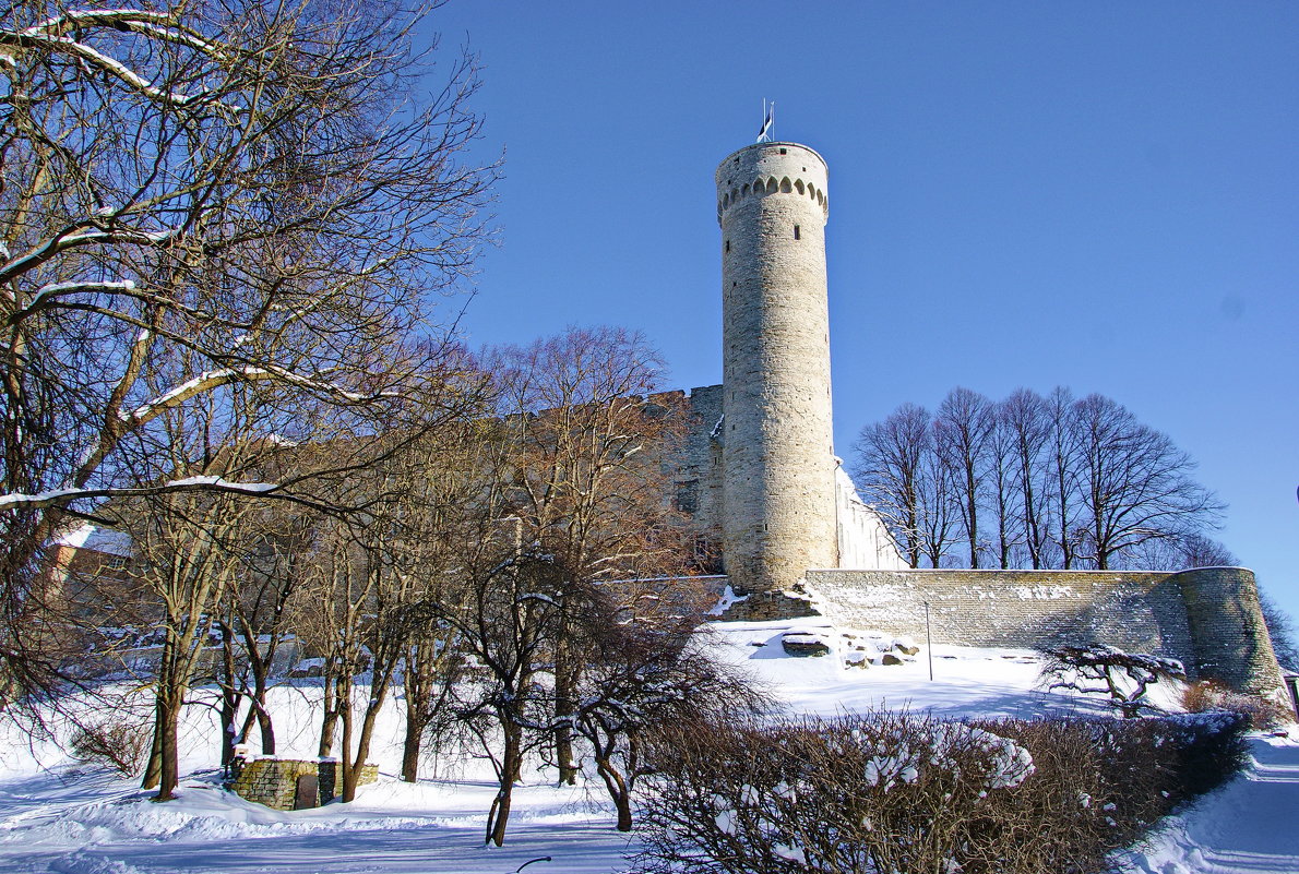 Замок Тоомпеа и башня Длинный Герман - Андрей K.