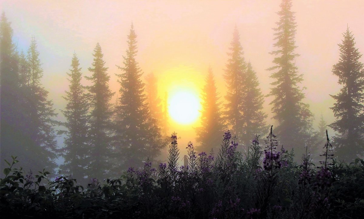На восходе солнца - Сергей Чиняев 