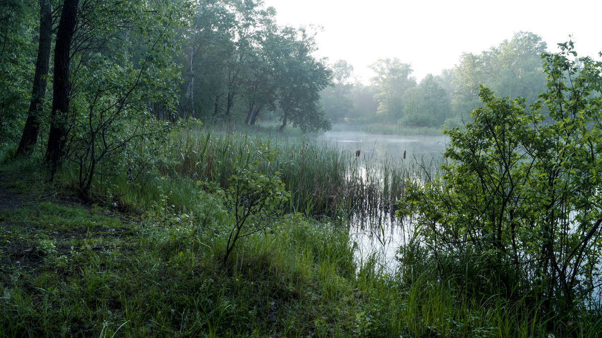 туманное утро на озере.... - Swjatoslaw 