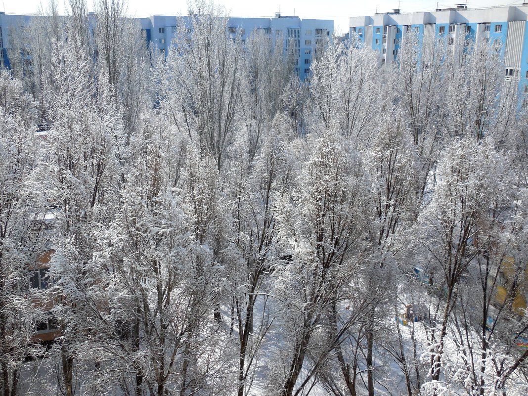 Самара. 29 марта 2019 г. - Надежда 