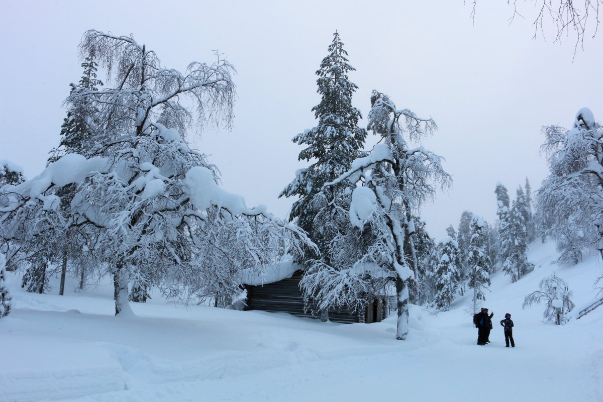 Зима в горах - Ольга 