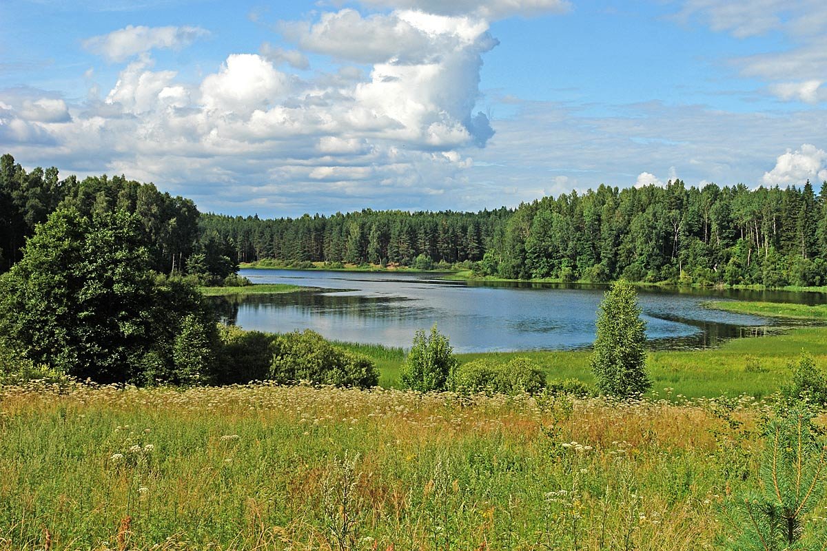Озеро Савинское - Сергей Курников