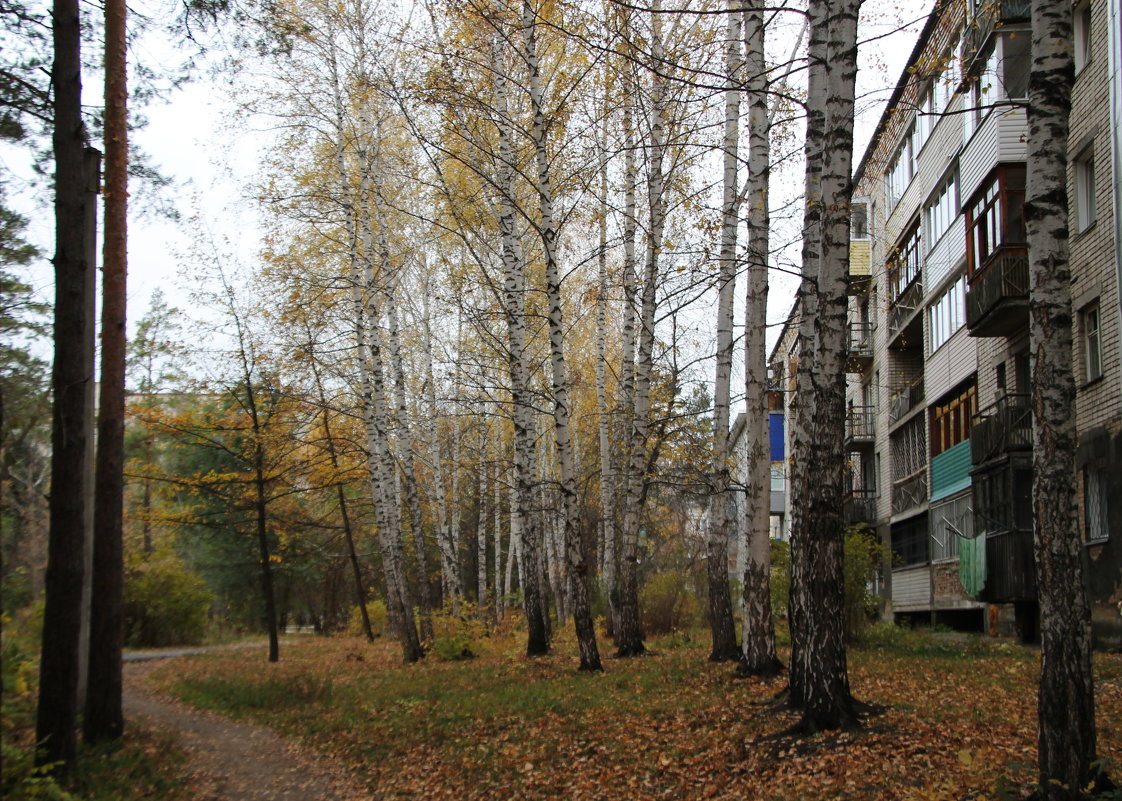 Возле дома - Олег Афанасьевич Сергеев