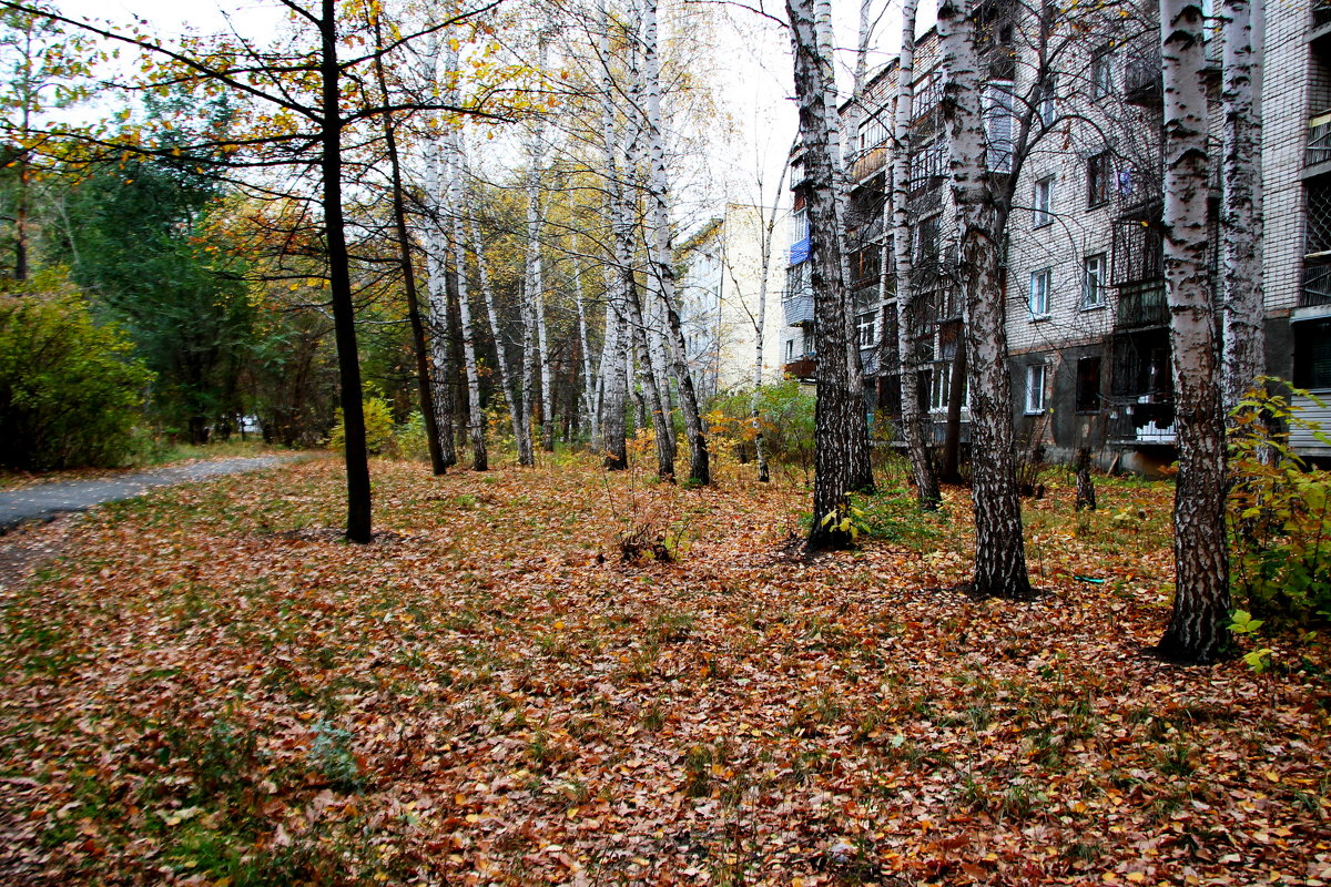 Осень - Олег Афанасьевич Сергеев