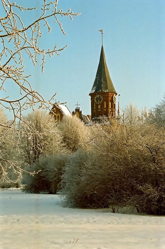 В морозный день - Сергей Карачин