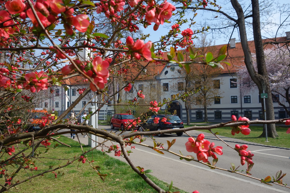 Весна в городе Аугсбург, Бавария... - Galina Dzubina