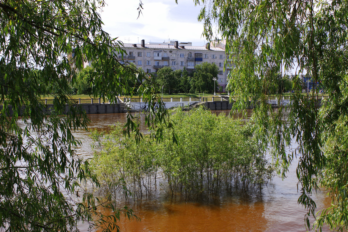 У реки - раиса Орловская