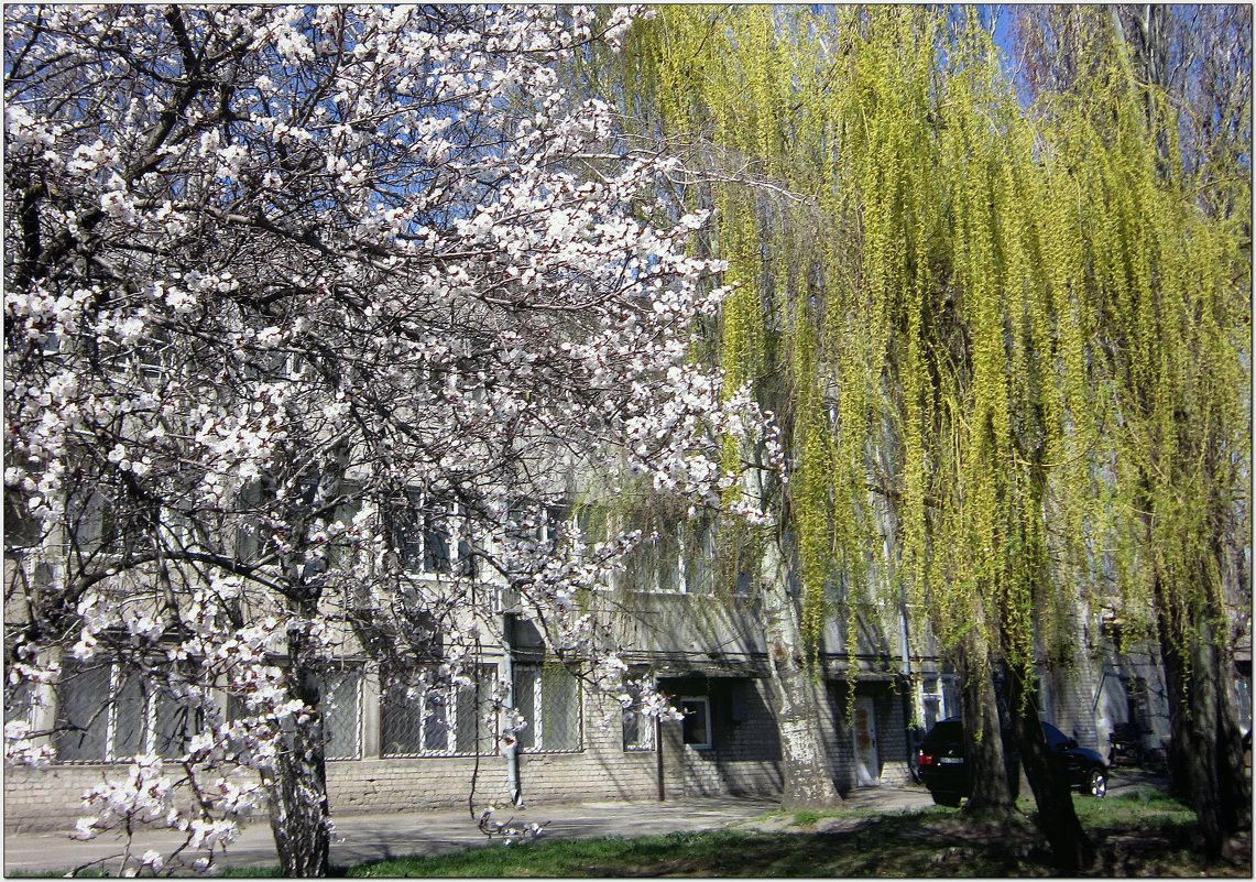 Весна в городе - Людмила 