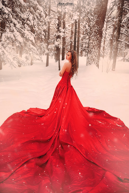 The red Queen - Ali Nari