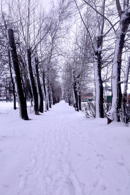 После Снегопада... - Дмитрий Петренко