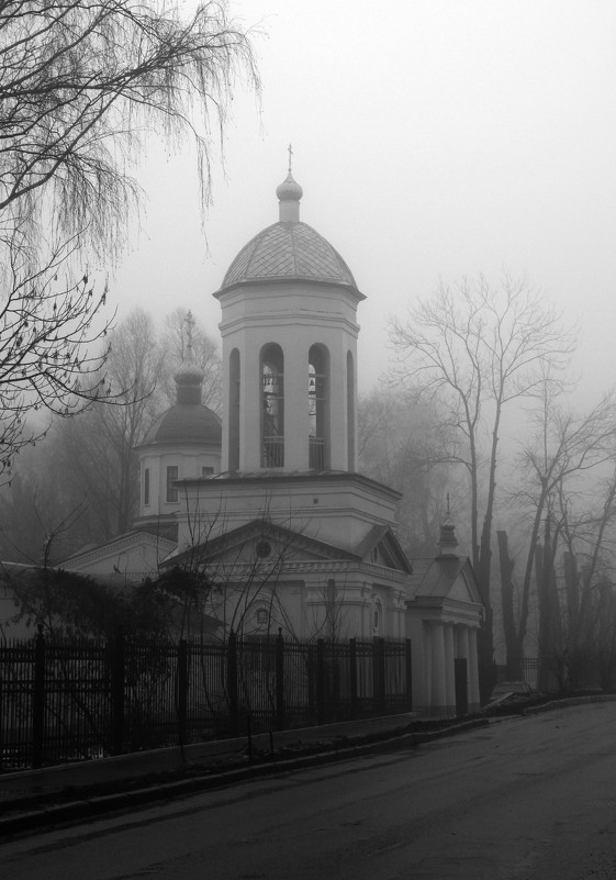 Церковь Успения Пресвятой Богородицы (Николаевская церковь Успенского комлекса), ул. Красноармейская - Alexandr Shemetov