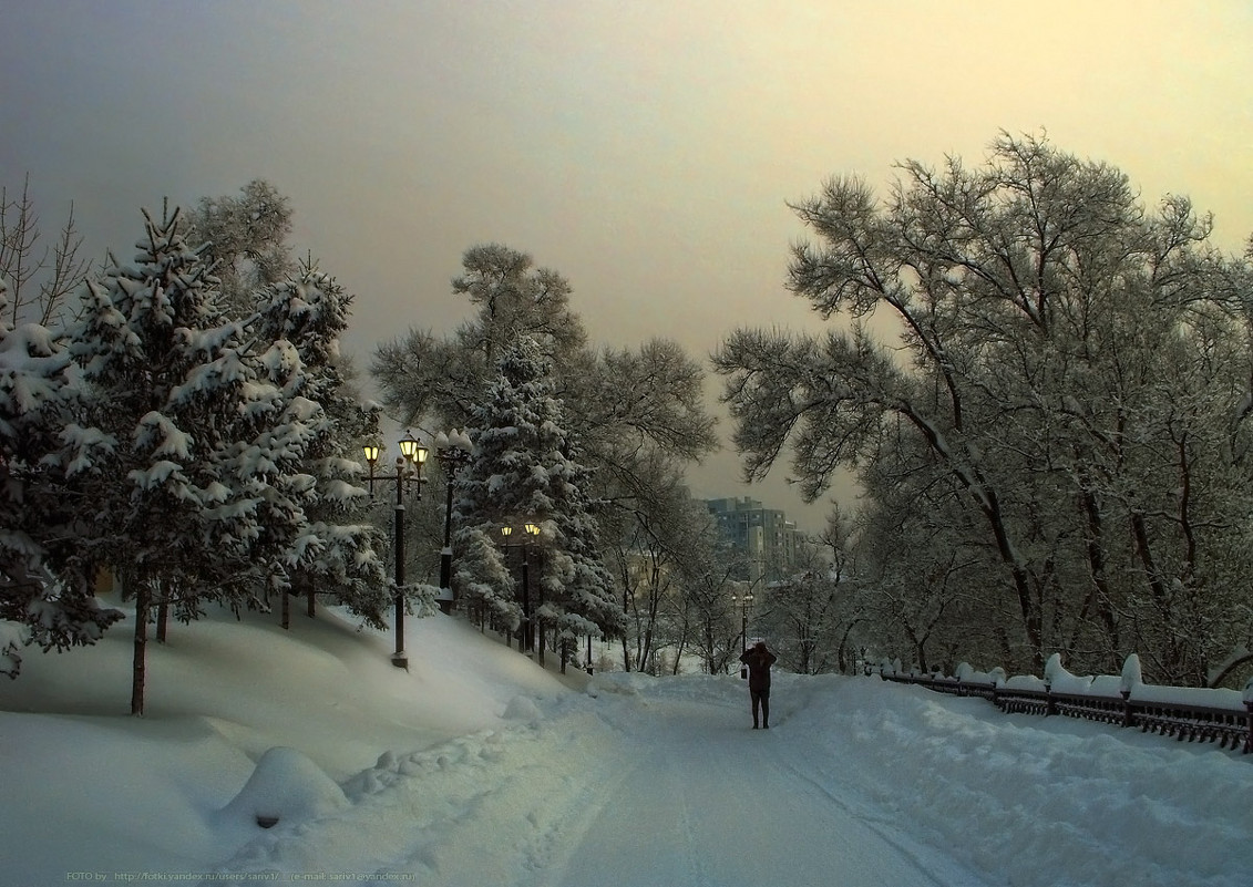 Вечер в зимнем парке - Игорь Сарапулов