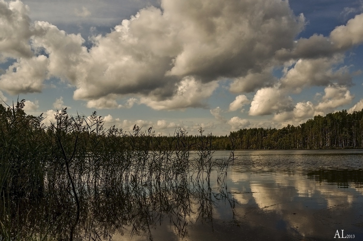 Озеро в районе Карельского перешейка - Лана Дмитриева