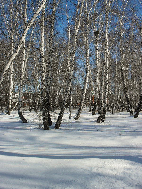 Зимний пейзаж - Sofigrom Софья Громова