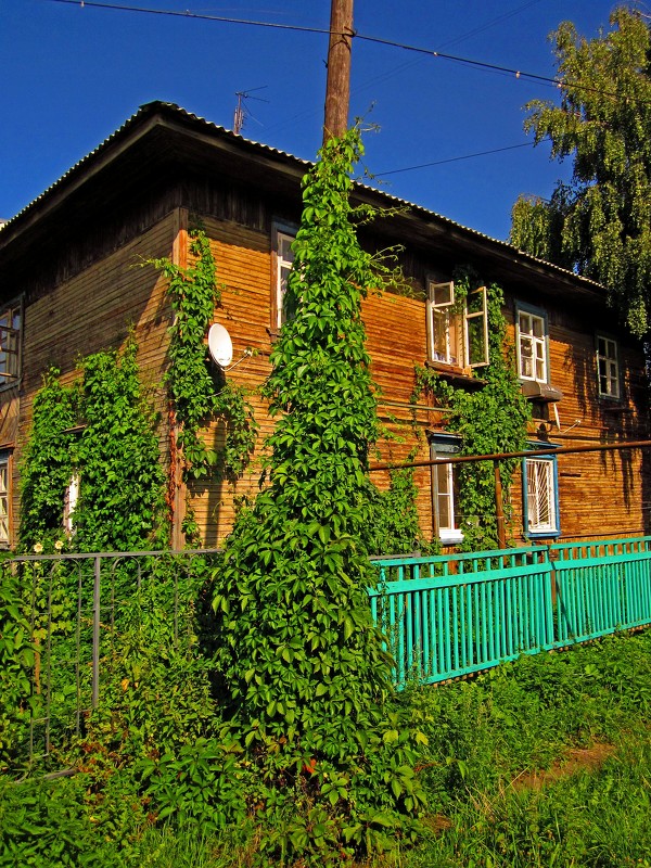 Зеленый дом - Павел Зюзин