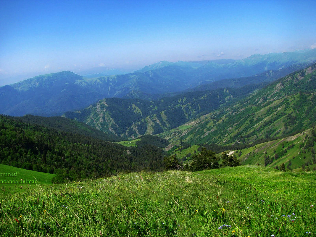 svaneti - noanoa delmar 