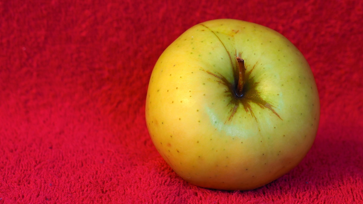 Блестящее жёлто-зелёное яблоко на ализариново-красном фоне - Андрей Михайлов