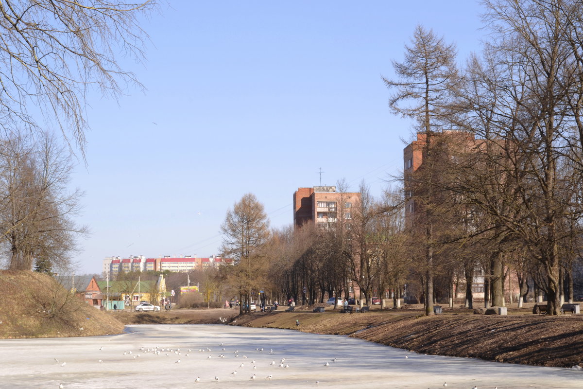 в городе весна... - Михаил Жуковский