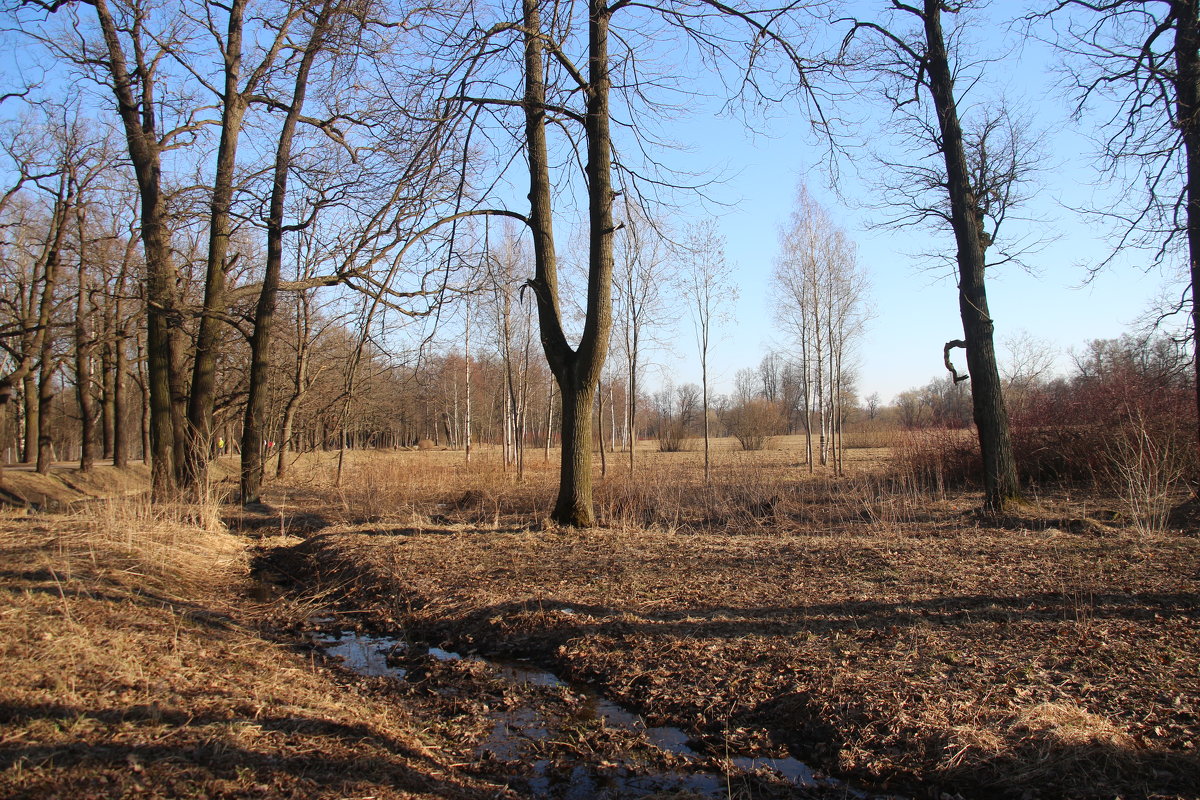 Царское Село. Апрель - Наталья Герасимова