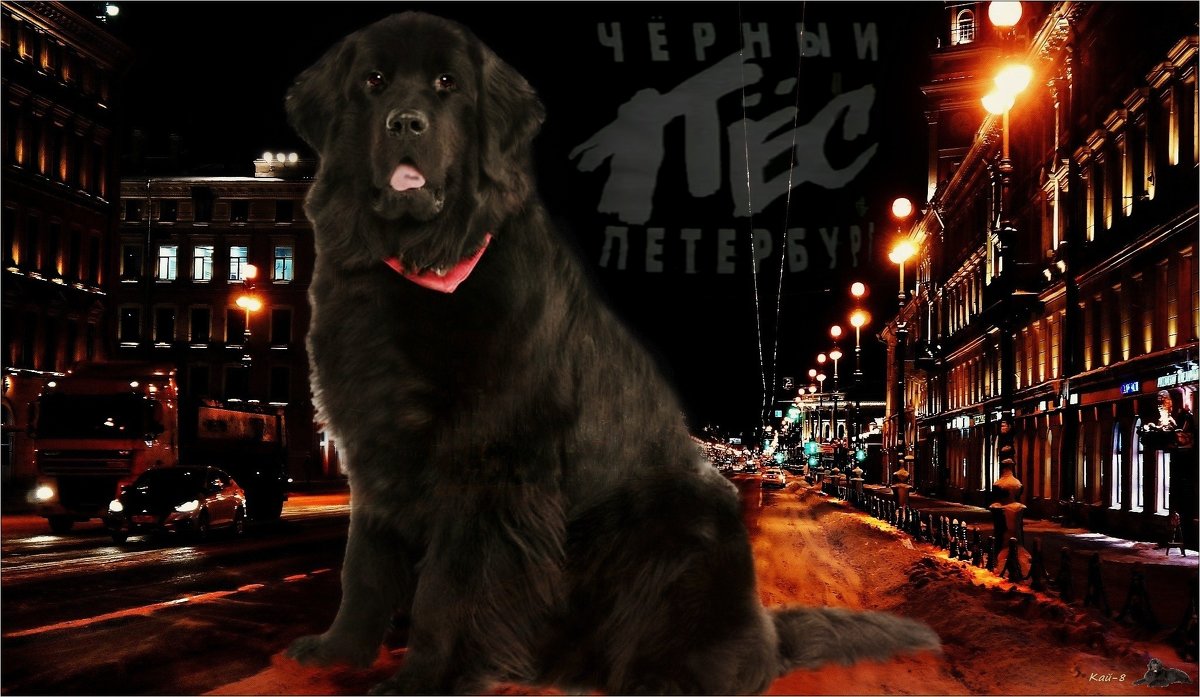 DDT:  Чёрный пёс Петербург - Кай-8 (Ярослав) Забелин