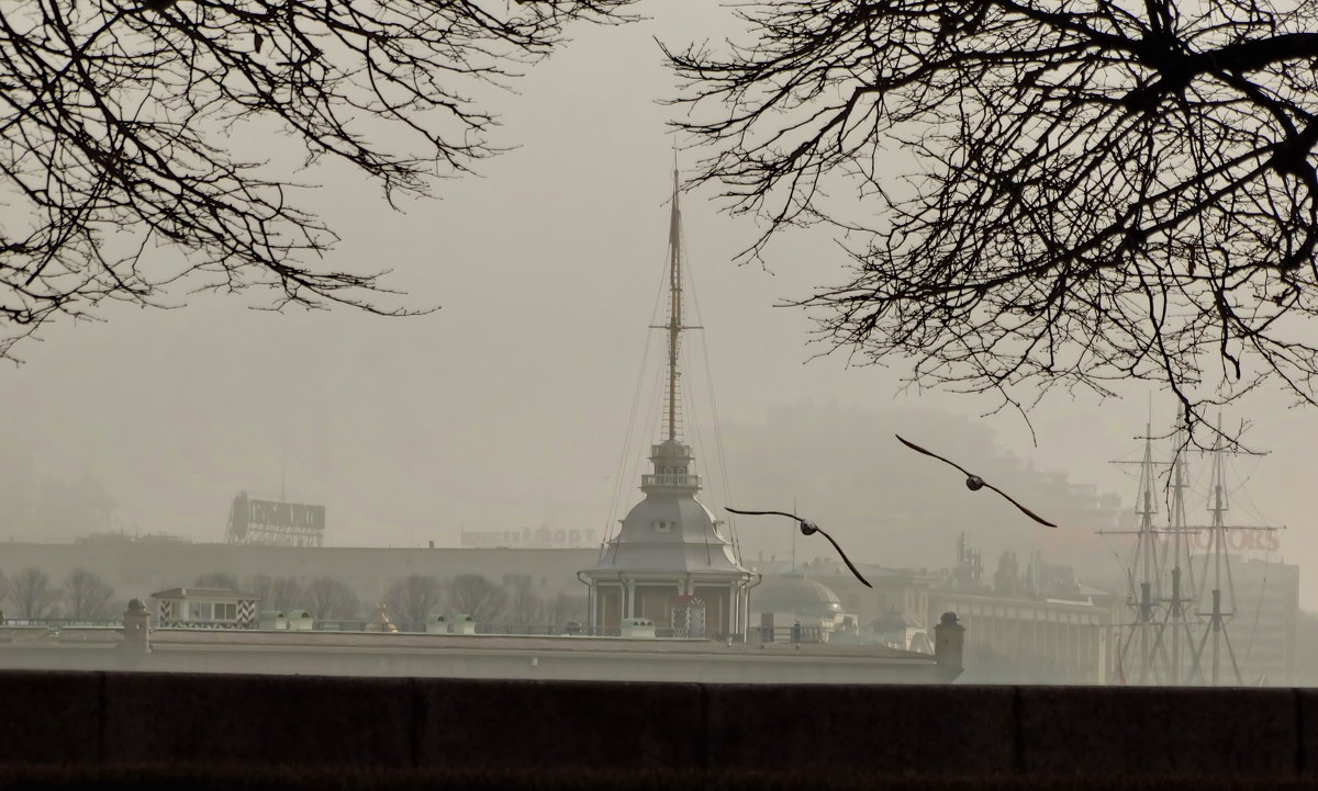 Крепость в тумане - Владимир Гилясев