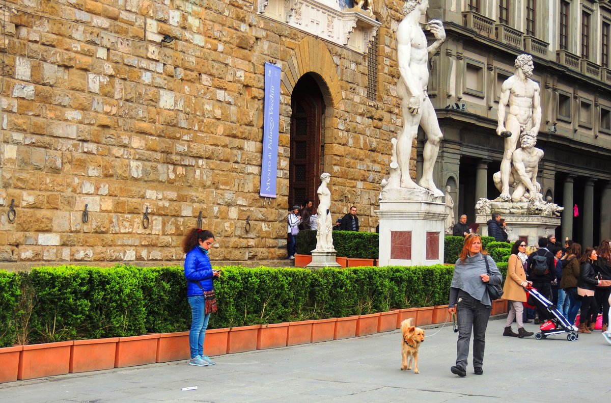 Площадь Сеньории Флоренция.Вход в галерею Уфицци - Гала 