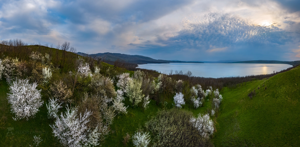Сенгилеевское озеро в апреле - Фёдор. Лашков