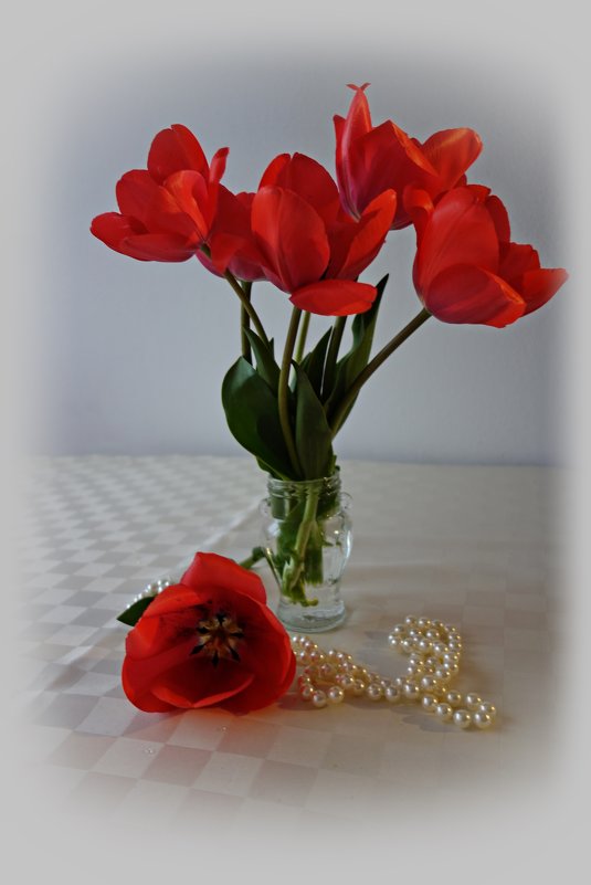 Красные тюльпаны... - Galina Dzubina