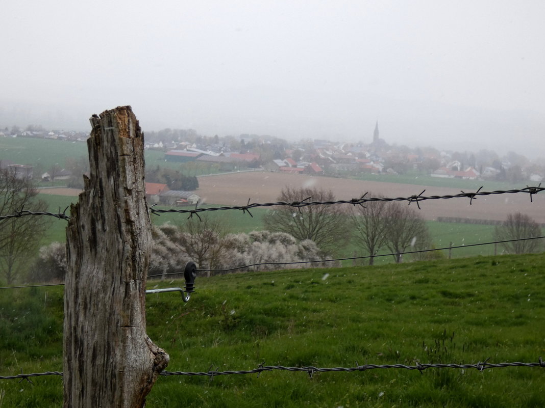 Деревня в тумане - Heinz Thorns