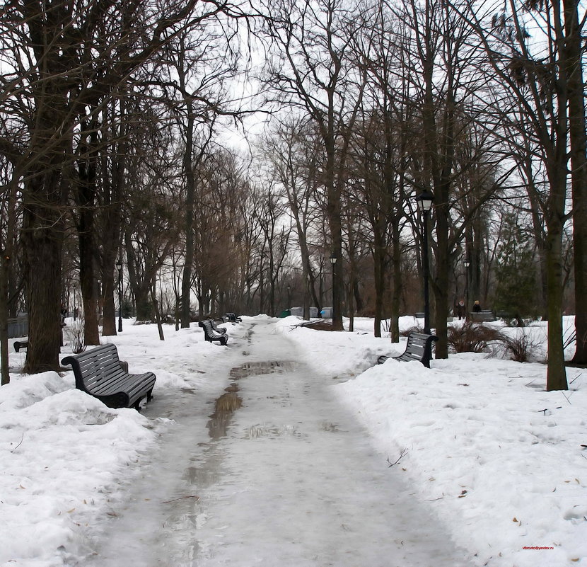 картина "Зима в парке" - Владимир Бровко