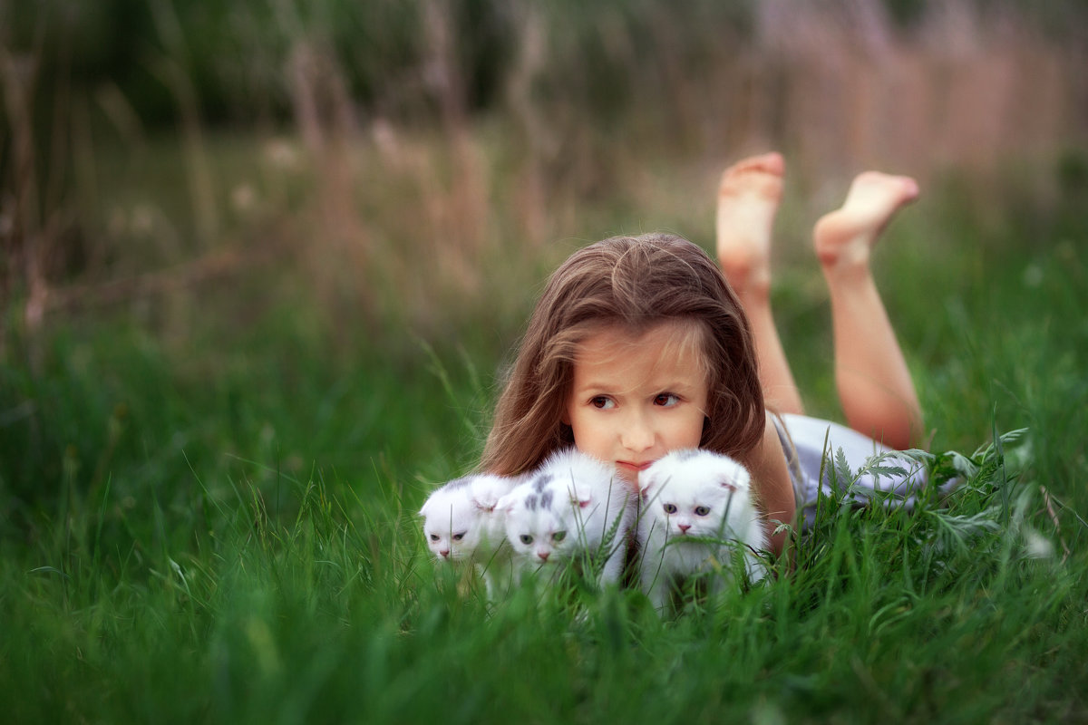 Девочка на лужайке с котятами - Элина Лисицына