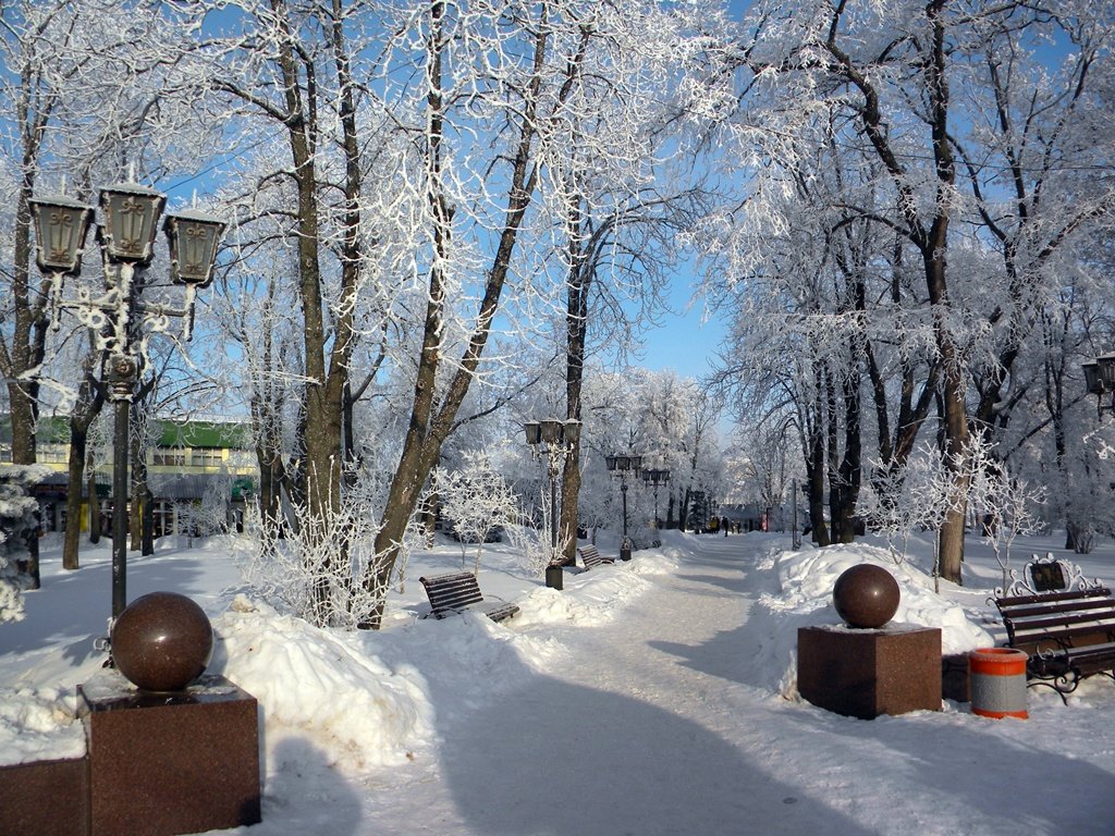 Зима - Роман Савоцкий