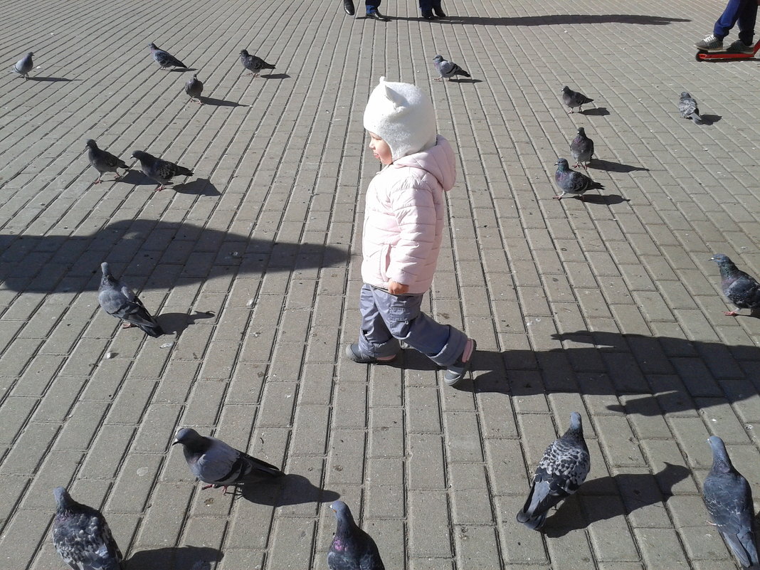 танец с голубями - Владимир 