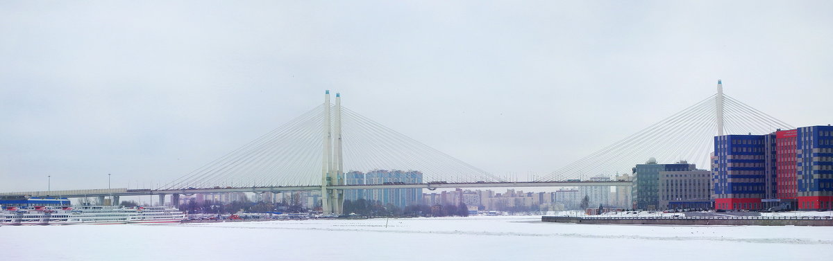 Большой Обуховский мост - Elizaweta 