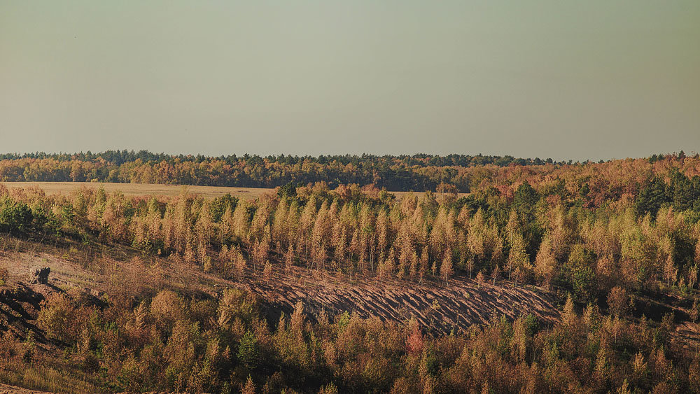 Осенний пейзаж - Валерий Михневич