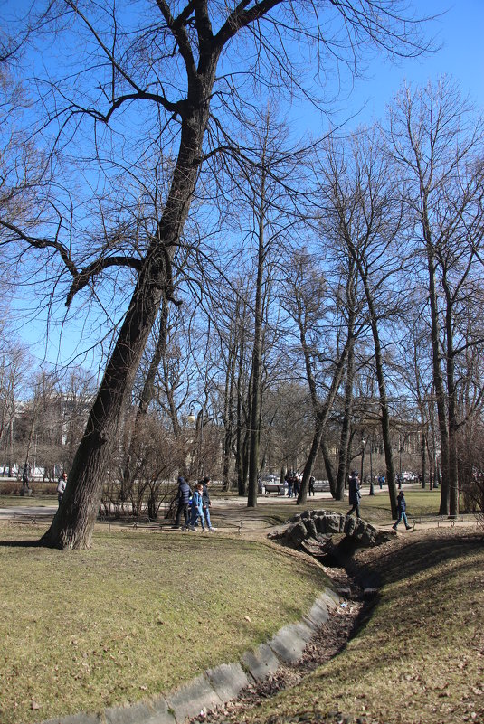 Александровский парк. Апрель - Наталья Герасимова