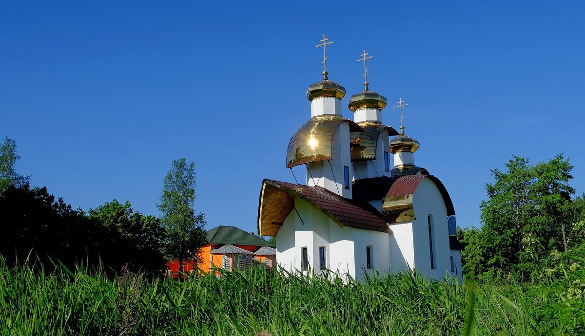 Церковь в Ладейном Поле - Михаил Рогожин